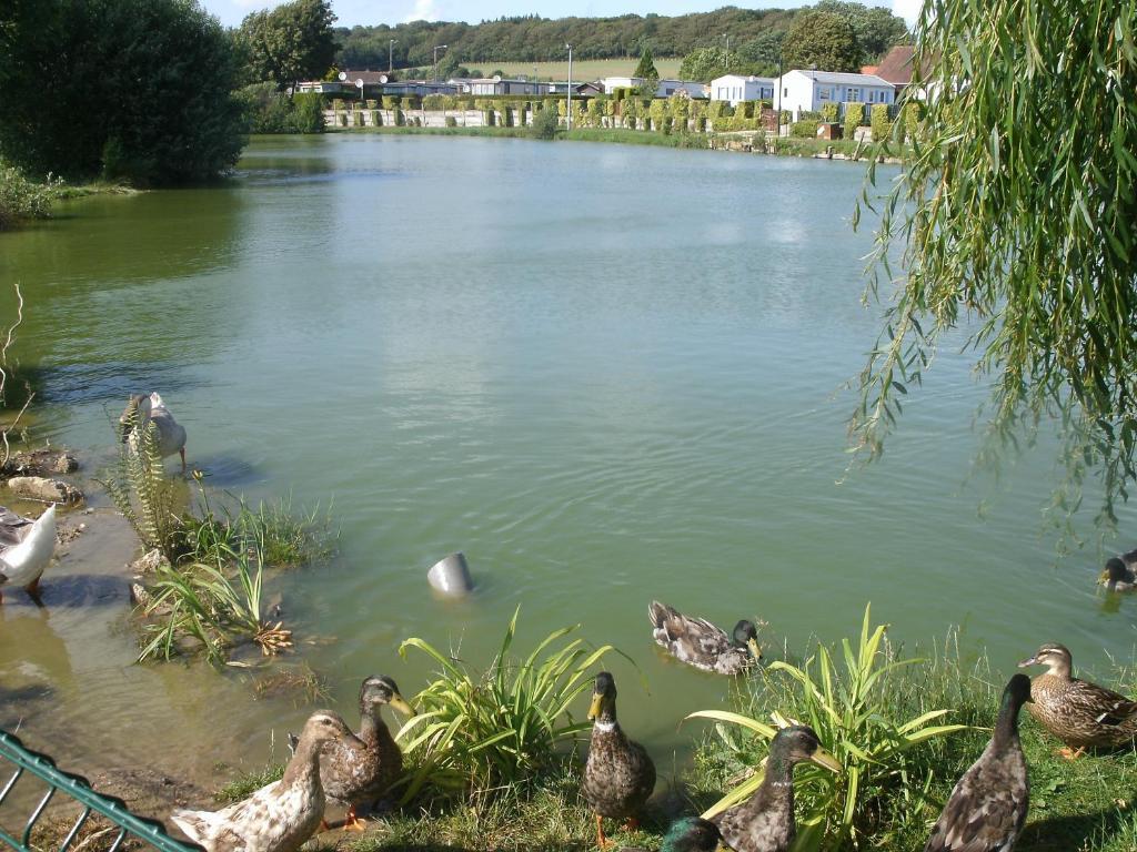 Auberge Des Etangs Roussent Zewnętrze zdjęcie